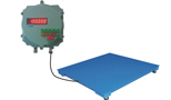 Flame Proof Heavy Duty Platform Scale