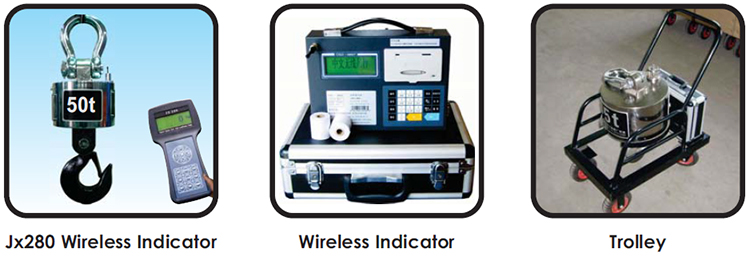 Wireless Crane Scale